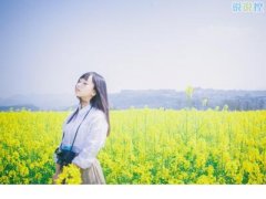 用一句话来赞美你的学校