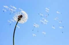 人总是喜欢把一些事实埋起来