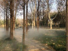 郑州植物园引入雾森系统，云雾缭