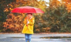 雨伞去污小诀窍你不知道的雨伞保