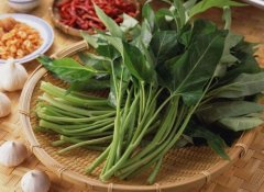 蕹菜的价格,：蕹菜的价格易受天气