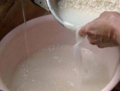 绿萝浇什么水长得快，浇这6种水让