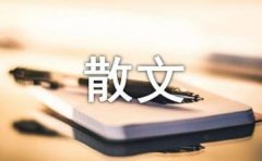 你是否爱过我散文