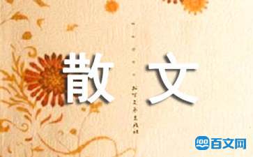 关于雪景经典散文