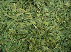 银杏叶茶的功效与作用：有过敏史