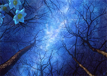 陆灿灿季星硕《第一章小叔》小说抖音文免费阅读 第1张