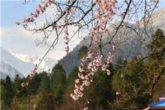 九零麻辣小娇妻钟晴黄彦全章节小
