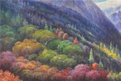 《锦衣九千岁》小说燕西寻呼延玥