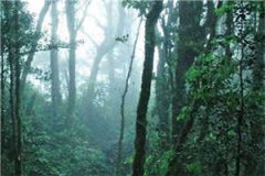 暗恋终成伤慕秋瓷席钧焱全章节小