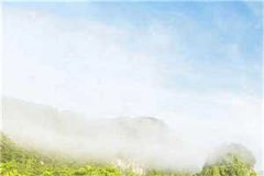 重生后我拐了修仙界第一暮皙安君