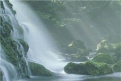 【完结】《识破渣男的101种小知识