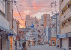 都市神医赘婿秦羽（太白持手琴）