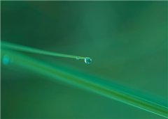 小说章节目录列表阅读《嫡女惊华