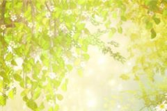 329652江静婉封厉宴全本小说章节目
