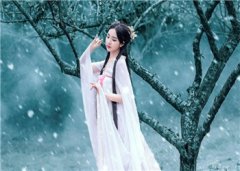 免费小说《良人久不归》莲灯洛尘