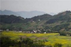 沈雪鸢尉洵然全文小说