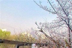 回首不见旧时人精彩小说