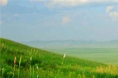 楚临渊赵慕清全文小说_囚金枝全集