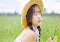 免费小说全文阅读《假性恋爱》安