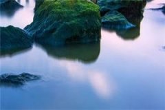 《鬼夫大人轻点爱》小说在线阅读