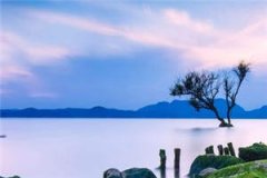 《奔现之后睡错人了》在线阅读《