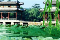 《她是反派的阴影》在线阅读《苏