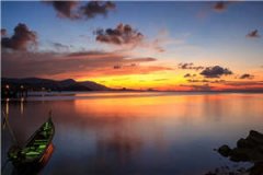 念念不忘未有回响顾念夜擎峥全文
