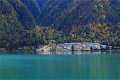 【完结】《他似春雨》小说姜心何