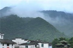 念念不忘没有回响精彩小说_陈希沈