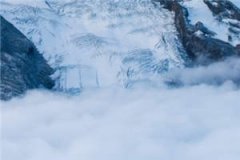 并蒂玫瑰陆湛尹澜澈免费阅读 陆湛