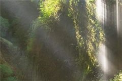 夜夜清风吹真意小说-苏韵瑶秦萧泽