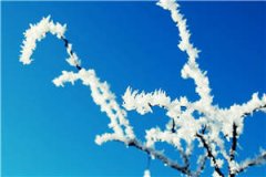 暗火贺远孟芝曲心瑶完结版小说章