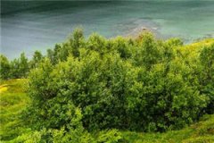 《89534564》免费章节-小说沈汀兰君