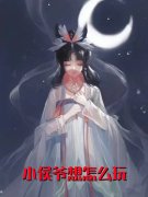 小侯爷想怎么玩小说[已完结]-阮淮