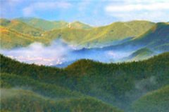 《好想见到你》小说倪露汤屿闻最