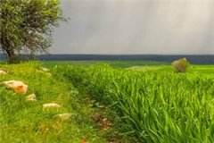 秦昊苏容妃免费穿越小说_秦昊苏容