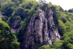 五年成空倪茜叶霆轩小说 倪茜叶霆
