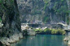 《抚伤》韩泽夏敏免费章节-小说抚