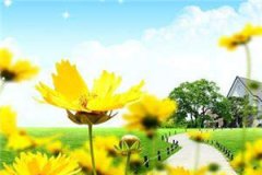 分手后大佬们都跪求复合小说阮羲