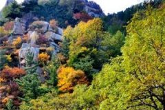 蛇祭陈琳免费全文阅读小说蛇祭陈