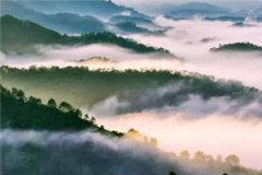 （凌瑜和萧霖天）全文小说_《邪王
