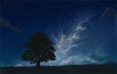 《秦欢季随》全本小说_秦欢季随完