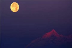 夕阳情小洁(李洁赵建军)无弹窗小说