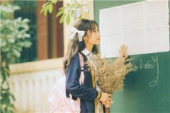 娘子是黑莲花全文小说-顾如佳萧清