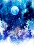 重生八零当家小说-阮音书程迟免费