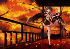 《长歌夜黎》花落伴花途长歌免费