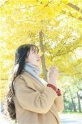 白小慧王鹏全文小说相遇的公寓全
