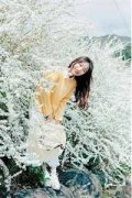 考场反击(秦萤秦雪)知乎免费小说