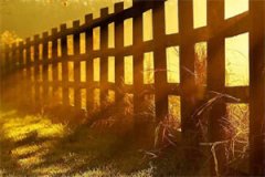 《3368952》免费章节阅读-小说（元浅