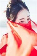 林婳季淮安小说(林婳季淮安)全文免